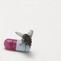 Red Hot Chili Peppers - I'm With You (2011) + Lossless, M4A