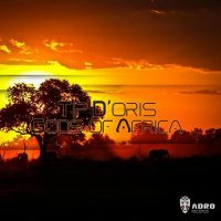 Tip D'Oris - Gods Of Africa